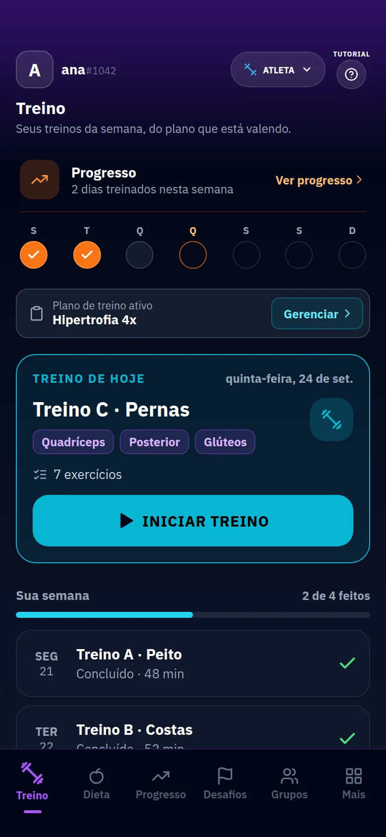 O Level Up no celular: a tela Treino do app.